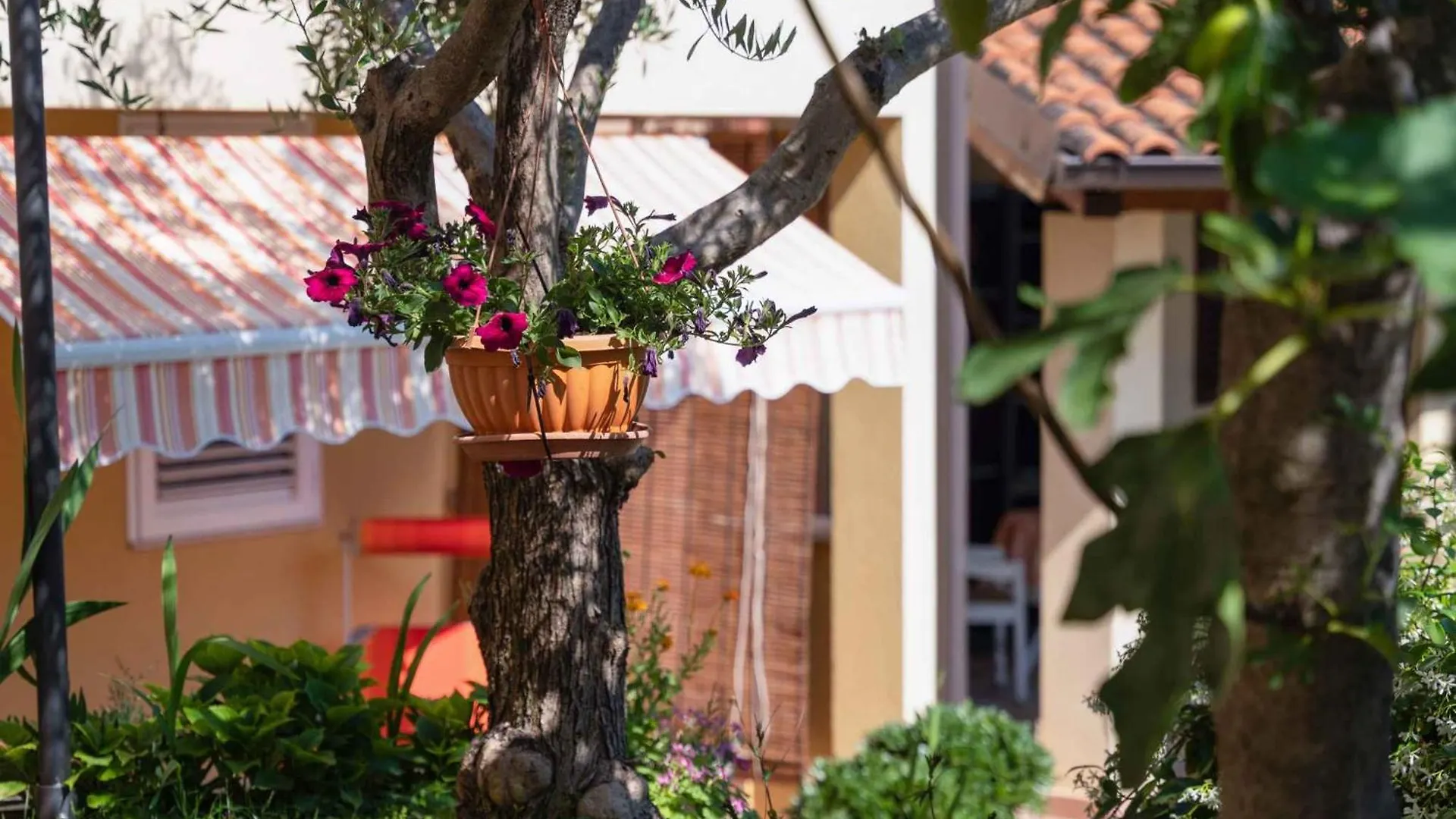 Three-Bedroom Apartment In Vrsar I 0*,