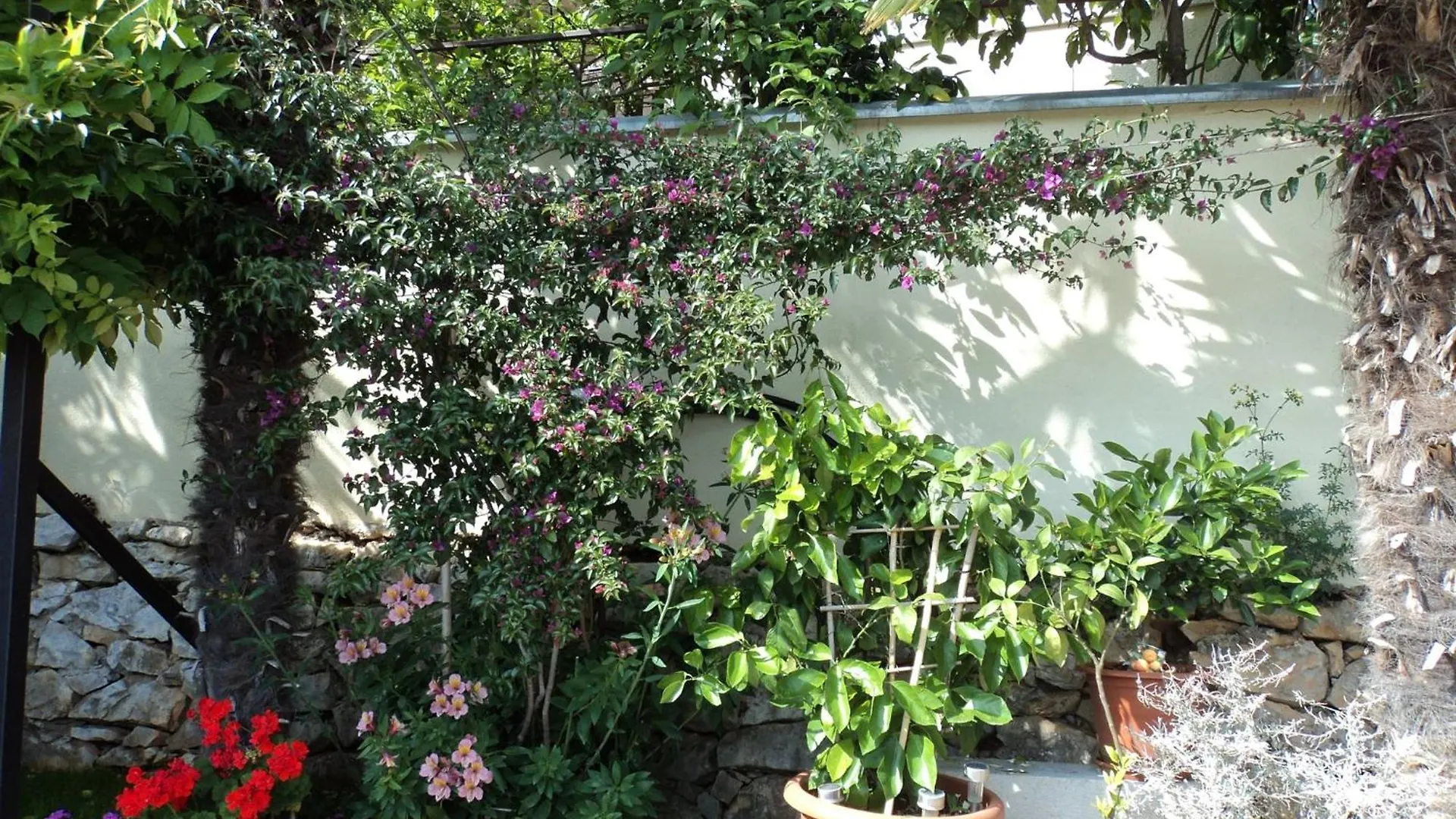 Three-Bedroom Apartment In Vrsar I Croatia